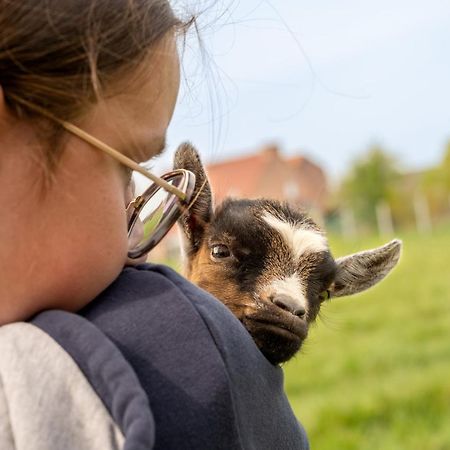 Logements Insolites A La Ferme - Yourte, Kota Ou Pod Farbus Eksteriør billede