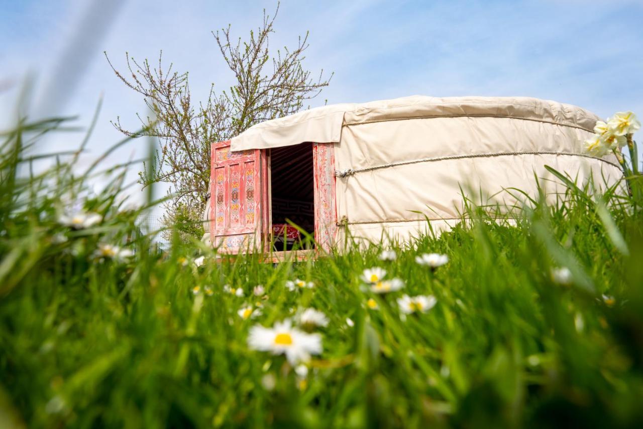 Logements Insolites A La Ferme - Yourte, Kota Ou Pod Farbus Eksteriør billede