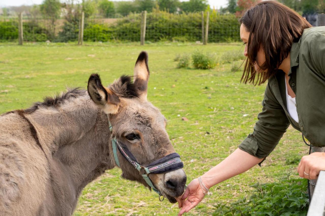 Logements Insolites A La Ferme - Yourte, Kota Ou Pod Farbus Eksteriør billede